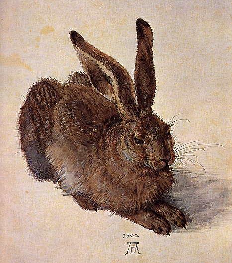 3.4 Predstavniki akvarelnega slikarstva 3.4.1 Albrecht Dürer (1471-1528) David Gariff (2009, 34) piše, da je Albrecht Dürer» najpomembnejši predstavnik nemške renesanse.
