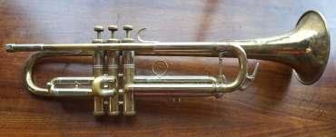 1966 a classified is selling a 3 month old Citation trumpet
