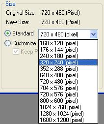 5. Choose the image size. In the Size section, select the Standard option and choose a desirable image size from the drop-down list.