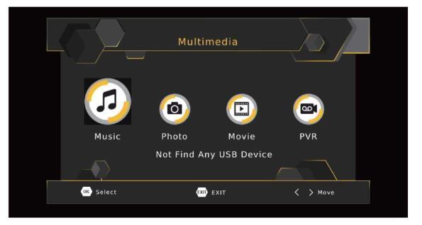 Multimedia: When a USB device is attached you can select from the Music, Photo or Movie options in this menu using the