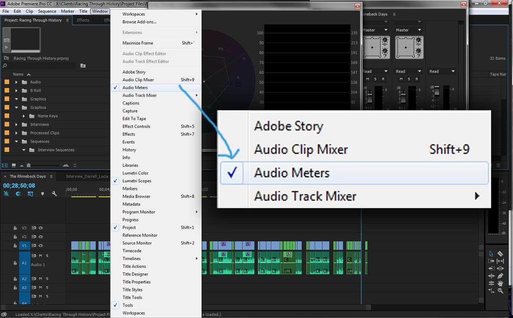 To access the VU meters is Adobe Premiere Pro