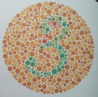 Methods - color vision test Ishihara 38 plates