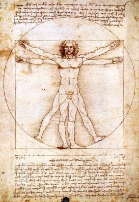 recognition of the inherent proportional harmonic of the human body.