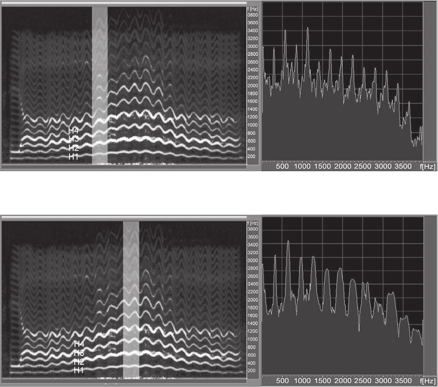 Fig. 2. Sonagrams (left) and amplitude spectra corresponding to the light vertical stripes in the sonagrams (right) of the same scale as shown in figure 1 but sung without register transition.