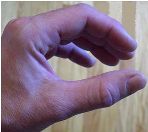 Left Hand Position: The fingers should form a C. Place your fingers on or over your left hand tone holes.