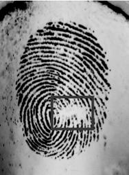 Section 1 - Objectives of the Program 1.2. Biometrics 101 The Simprints scanner starts by taking a picture of a fingerprint just like a camera does.