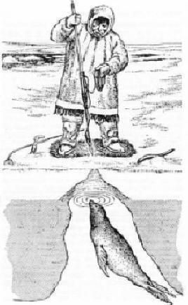 Inuit hunters of the arctic put a pick in to the ice and whistled along the shaft to coax a seal or walrus back to a breathing hole it had made in the ice.