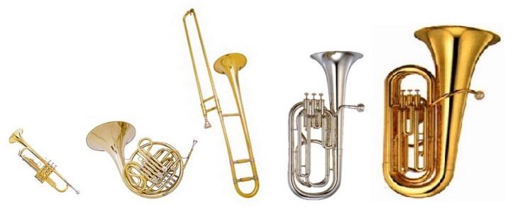 The Brass Family The brass family typically consists of trumpets, (french) horns, trombones, euphoniums, and tubas.