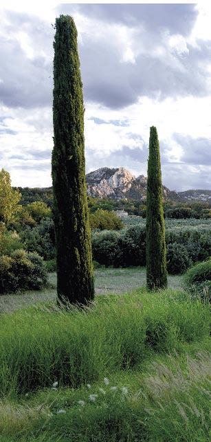 A STONE farmstead in Provence sits among fields and pastureland, picturesque limestone outcroppings dotted with groves of evergreen oaks.
