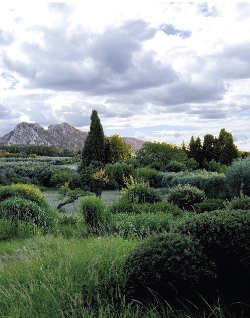 A PROVENÇAL MASTERPIECE LOUISA JONES explores a remarkable garden that has been subtly