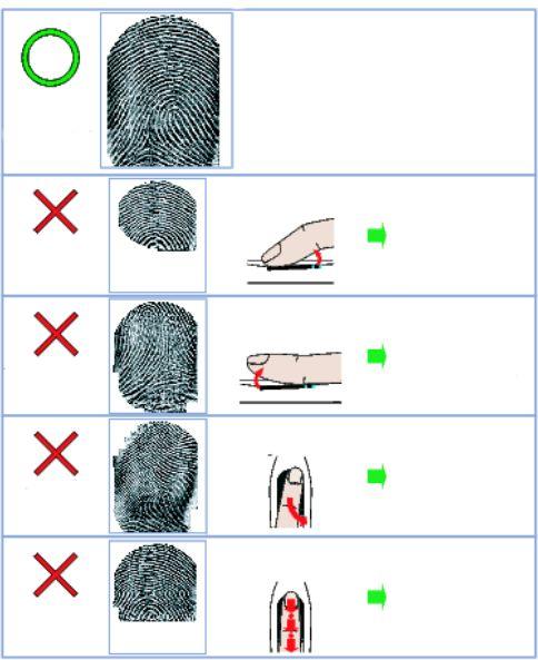 Examples of Fingerprint Enrollment Examples of captured fingerprint images To improve the accuracy of authentication, please enroll fingerprint data in a similar manner to what is shown in the Good