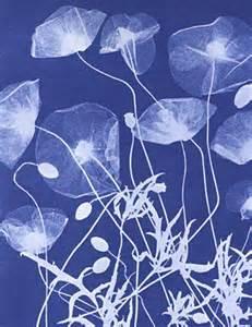 Criticism Anna Atkins (English, 1799-1871) From Botany Collection Anna Atkins did not create photograms for art like Man Ray. Atkins created photograms of plants for informational purposes.