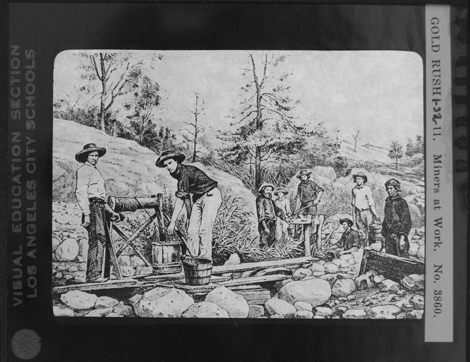 Gold Rush 11 Miners