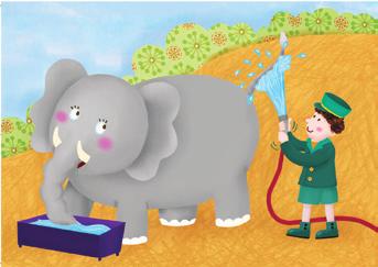 Q. Which body part of the elephant is the man washing? A.