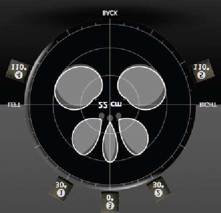 The directivity of the virtual microphones should be adjusted so that the pointing circles just overlap. The preset loudspeaker layouts can be used for reference.