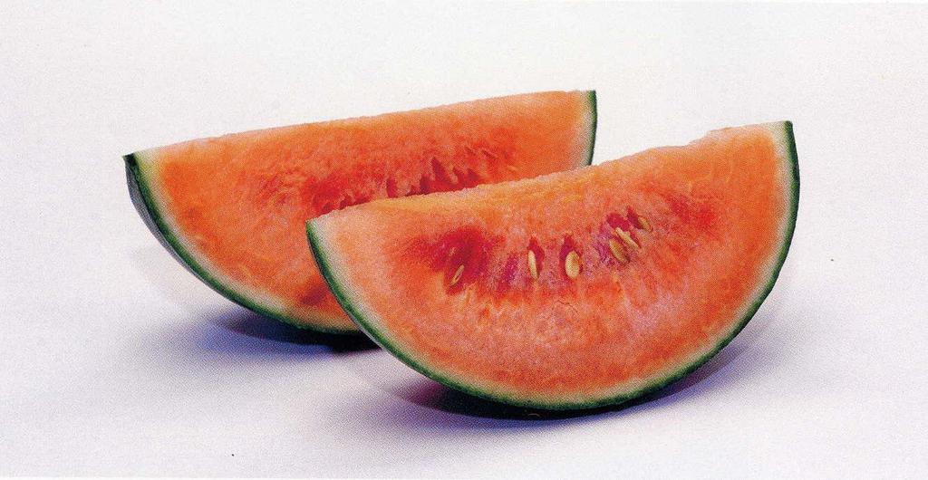 A watermelon bears large fruits with plenty of water, red color, and