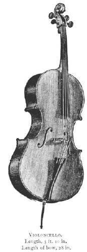 The cellos often play accompaniment parts.