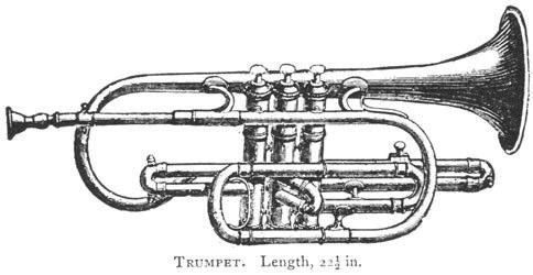 To change notes, brass instruments either have buttons, called valves, or a slide. The French Horn is a very long tube that is twisted and curled into an instrument about 1 foot wide.
