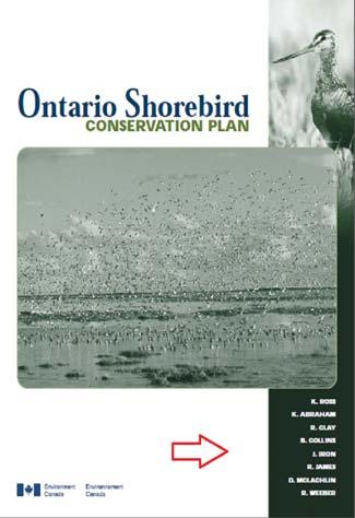 87 RDA & AACR2: Rule of Three RDA Ontario Shorebird Conservation Plan / K. Ross [and seven others].