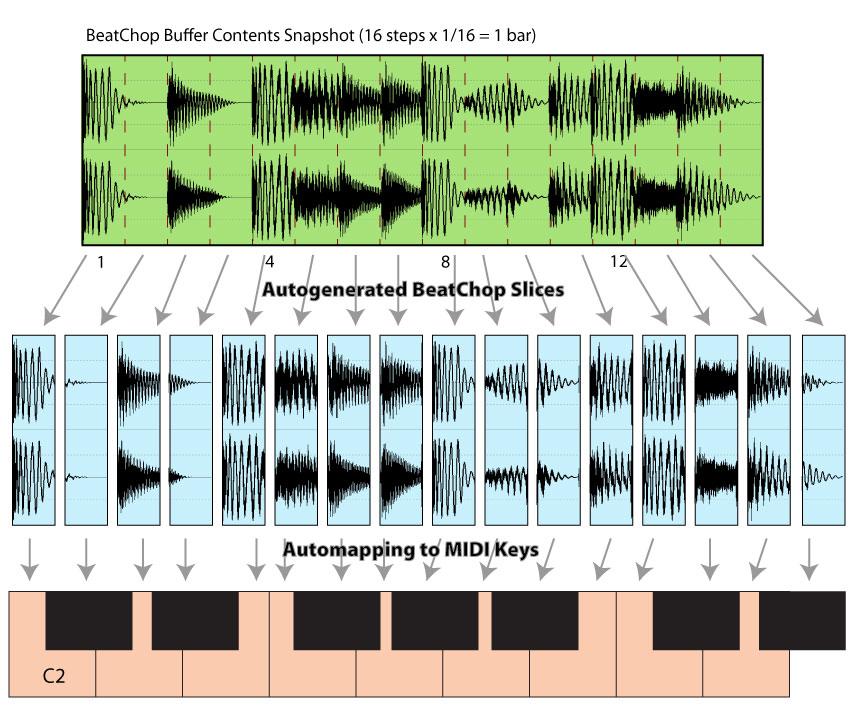 Fig.1.1-3: Contents of the buffer are sliced according to step count and resolution. Then they auto-mapped to the MIDI keyboard.