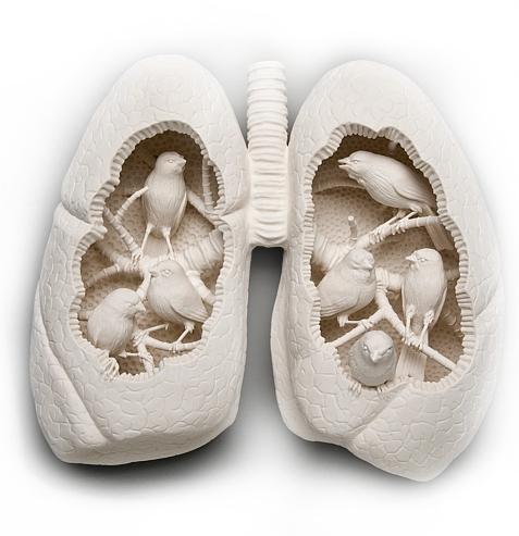 Aesthetics For Life W10: Nature Aesthetics - Environmental Approaches Canary (2009) -Kate Macdowell