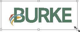 logo Usage Standards The space within the R is BURKE.