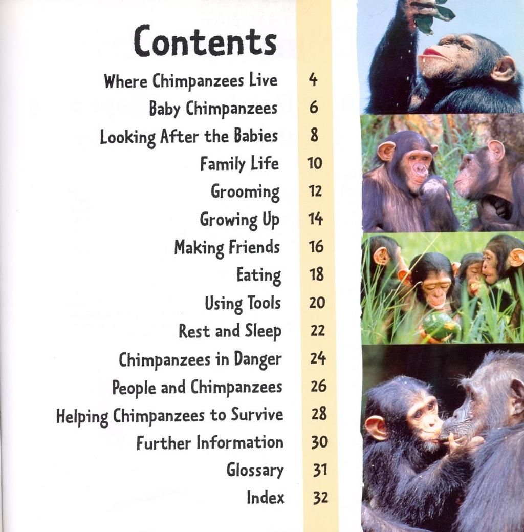 The Contents Page lists all the chapters in the book.