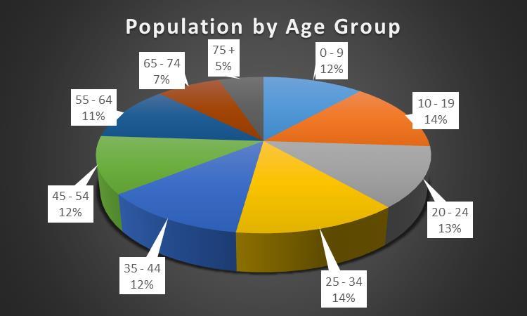 Marketing Key Demographics