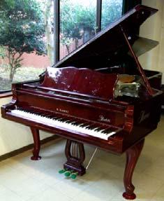 Piano: The piano is a special instrument because it is both a percussion instrument and a string instrument. It has about 230 strings inside.