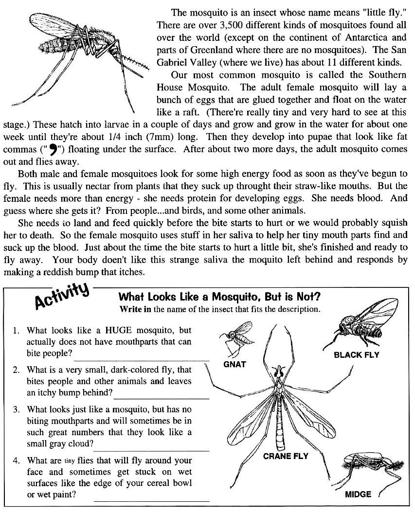 Page 8 - Insect Program/Student Workbook San Gabriel