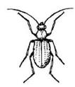 Name Date Location Weather Insects Seen: Drawings: