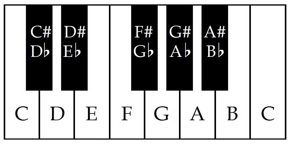 Worksheet 4 Whole and Half Steps; the Major Scale On the staff below, write the note which is a half step above each note shown. Use the keyboard graphic as a reference.