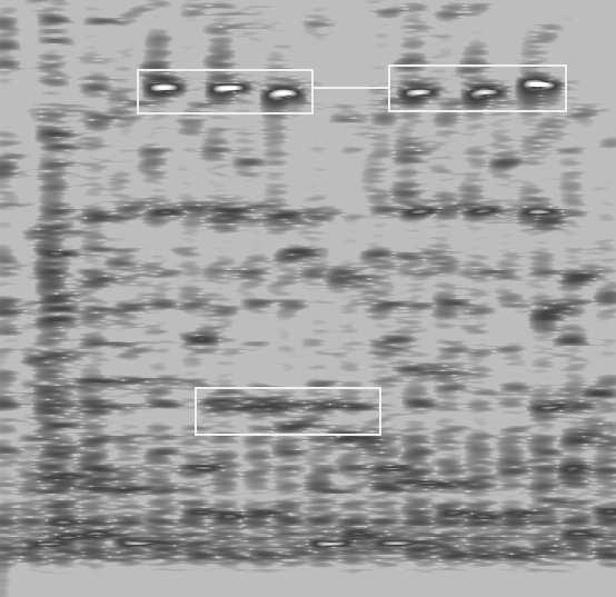 To view videos of this spectrogram and scalogram, go to the URL in (2) and select the links indicated by Harlem Air Shaft.