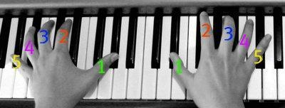 KEYBOARD SKILLS Correct finger position: This scheme of learning will help you develop your keyboard skills.
