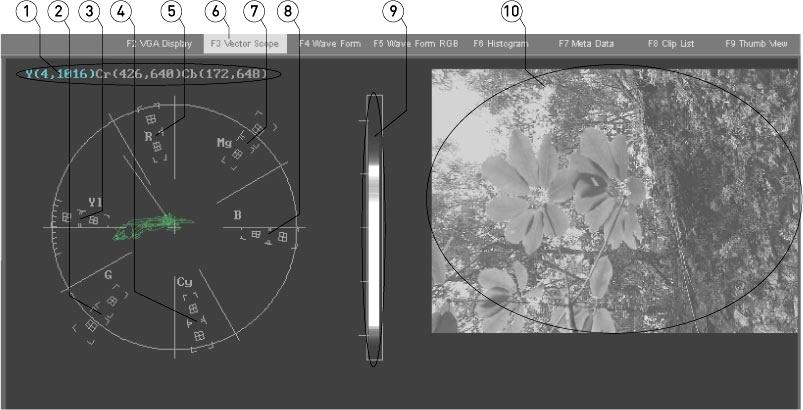 View - Vector Scope From the main menus, select View Vector Scope. Alternately press the Vector Scope button above the Clip View window, or press F3.