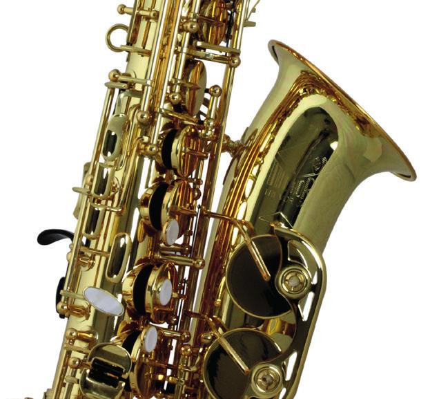 range of saxes to fit into the distinctive, reasonably priced student saxophone category without