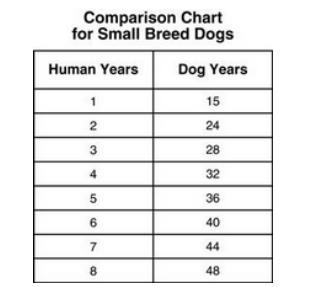 19. The table below shows the relationship between the number of dog years for small breed dogs and the number of human years.