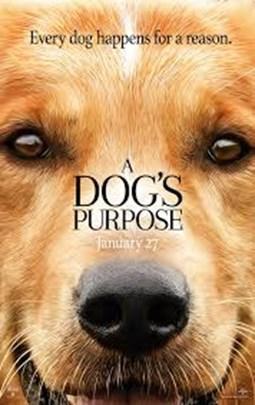 Critics Corner By Rylee M. A Dog s Purpose is the story of a dog as it is reincarnated over the course of five decades to find what its purpose is.