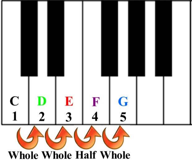 Half steps are the distance between any two notes that are right next to each