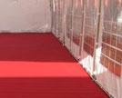 metre carpet 6 x 6 metre carpet 10 x 6 metre carpet 12 x 6 metre carpet