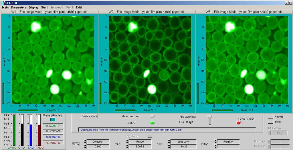 As a sample we used yeast cells stained with a ruthenium dye. The cells where kept in water in a cell dish, and a small amount of tris(2,2 -bipyridyl)dichlororuthenium(ii)hexahydrate was added.