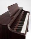 SOUND The "SuperNATURAL Piano sound engine" delivers the expressivity of an acoustic grand piano.