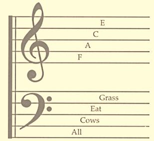 LINES SPACES AND CLEF SYMBOLS There are two kinds of musical staves used in The Sacred Harp of today: the Bass Clef staff and the Treble Clef staff.