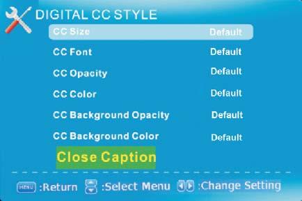 SETUP This option allows user to adjust the TV s miscellaneous options. 1. Press MENU to open the OSD. 2. Press or to select SETUP and press ENTER. 3.