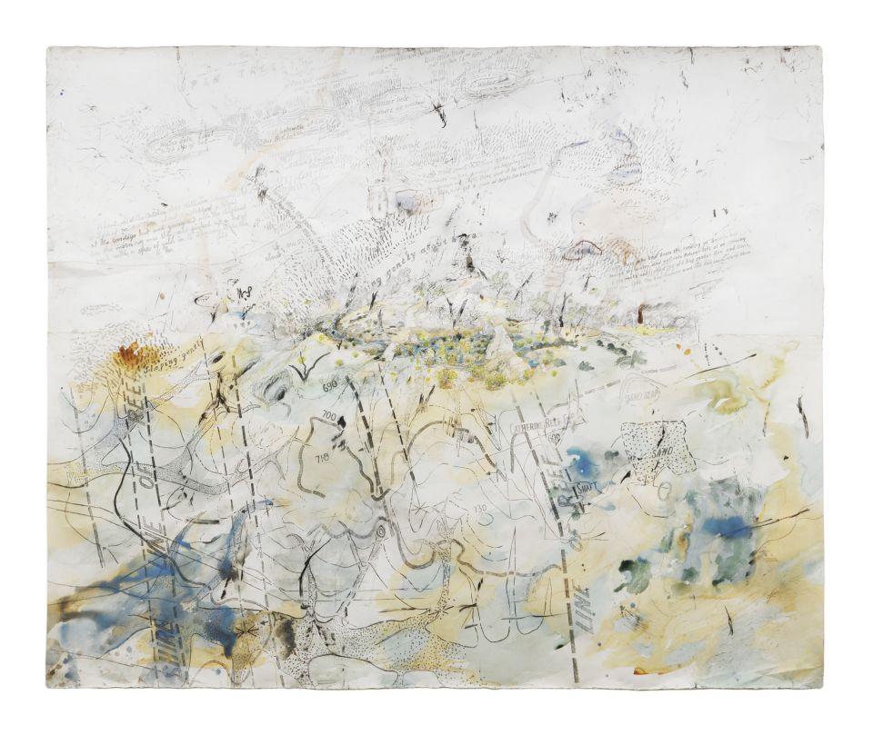 Figure 14. John Wolseley, History of the Whipstick Forest with ephemeral swamps and gold bearing reefs, 2011, watercolour, charcoal and pencil on two sheets, 234 x 287 cm.