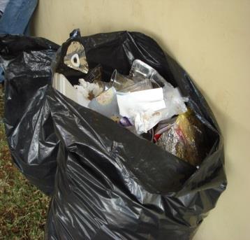 What is ironic about Leona s taking the bag of trash to the Public Health Department? 9.
