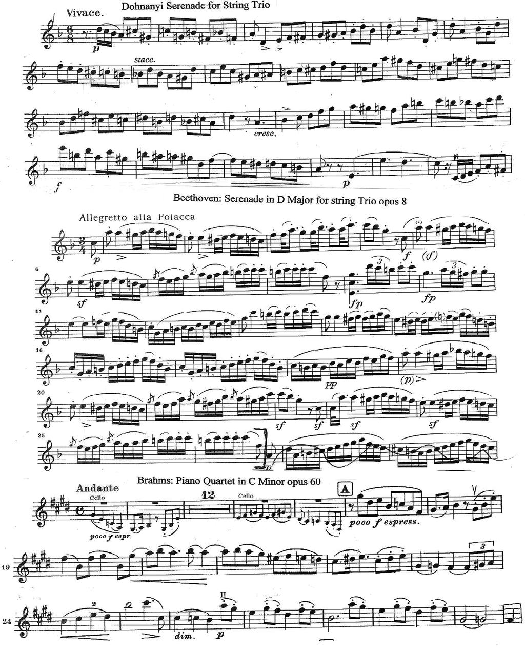 Score& 1& &&&&&&&&Gesture&plan& & Vivace 1&bar/s& Bar&1:&.25&s&silence& [.41&s&upbow&piano&legato >spiccato&d1bc1bb&&ba& ].17&s&downbow&piano&spiccato&c&&1&.17&s&upbow&piano&spiccato&g&] Bar&2:&!