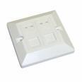 RJ 45 keystone jacks & face plate Features A jack for use in