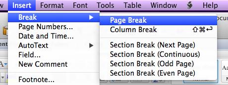 b. Click on Insert tab at the top of the screen to show the drop down menu. c. Scroll your mouse over Break > to access the side menu. d. Click on Page Break to create a page break at the bottom of the previous page and insert a page between the two pages you already have.