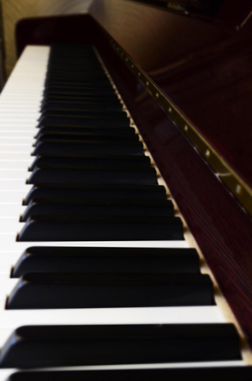 Speedy Piano Lessons Your Guide to